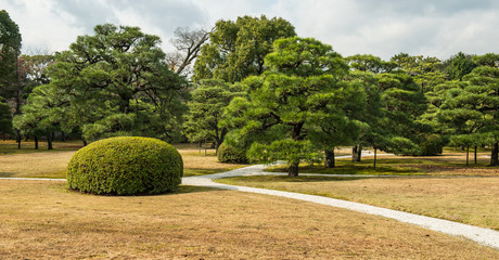 Japanese garden in Kyoto