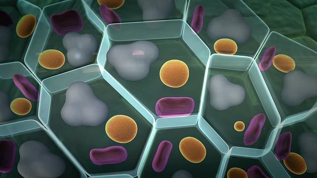 High quality  render of fat cells, cholesterol in a cells, field of cells, structure of the molecule, receptors on the cells surface