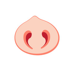 Obraz premium Pink pig nose