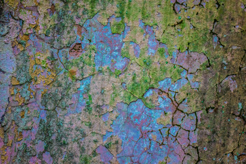 The old and cracked wall of a building, lost places