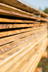 the series stack of fresh boards, building materials, wood, pine, larch, pine, sawmill, nature