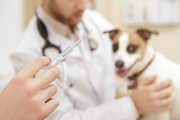 Male vet preparing to make vaccine injection to his dog patient