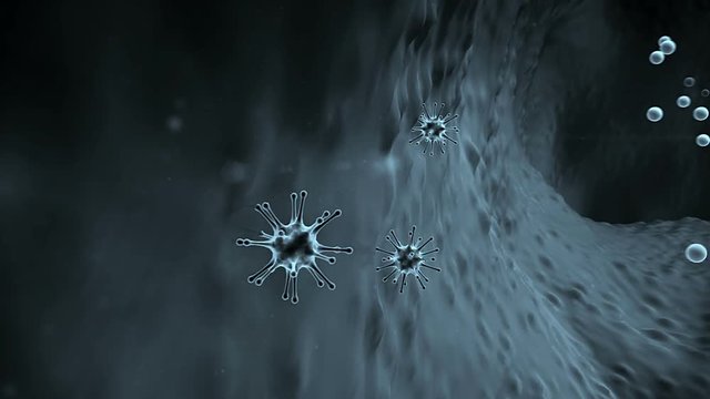 virus attack the human body, coronavirus cell and Lymphocytes, T-lymphocytes attack a migrating viruses, virus attacked by lymphocytes, Macrophages attack of the viruses