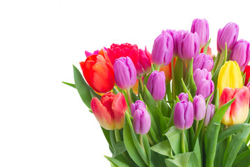 bouquet of bright fresh spring tulips close up isolated on white background
