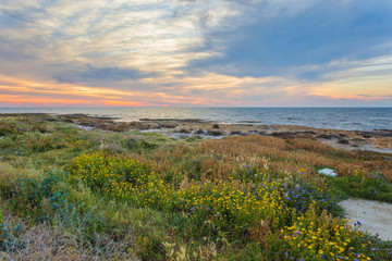 View over the seafront of the city Paphos in Cyrpus.