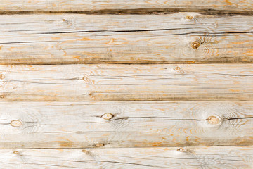 wooden wall from logs, house, pine, conifer, trees, building, backdrop, texture, close-up