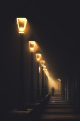 person walking on dark street illuminated with streetlamps - obrazy, fototapety, plakaty