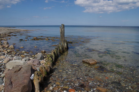 Holzpf&auml;hle als Bune an der Ostsee