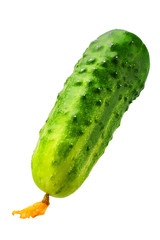 Fresh cucumber isolated