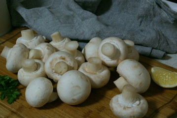 mushroom