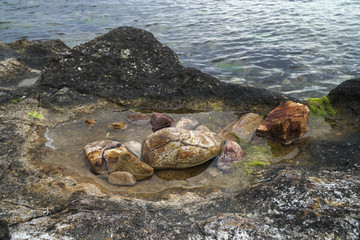 Pebbles in A Puddle Near The Sea
