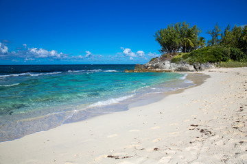 Tropical beach in the Caribbean.