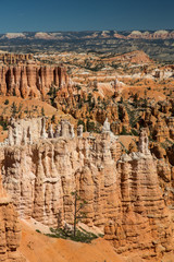 Landscape in Bryce Canyon National Park, USA.