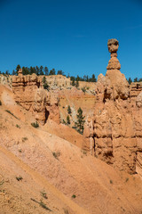 Fototapeta na wymiar Bryce Canyon National Park in Utah, United States.