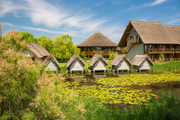 Landscape in Danube Delta, Romania.
