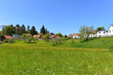 Obraz premium Donaustauf im Landkreis Regensburg Bayern
