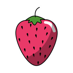 strawberry fruit icon over white background. vector illustration