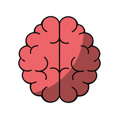 human brain icon over white background. vector illustration