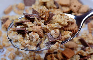 Muesli with milk in a spoon and bowl