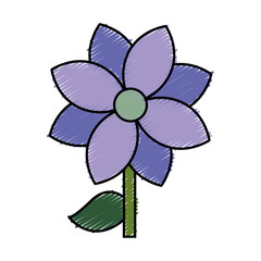 beautiful flower plant icon over white background. vector illustration