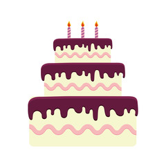 birthday cake icon over white background. colorful design. vector illustration