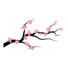 sakura flower branch spring japanese flora vector illustration