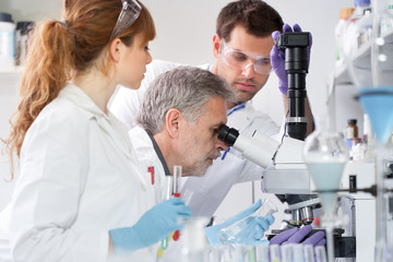 Health care researchers microscoping in life science laboratory. Young research scientists and...