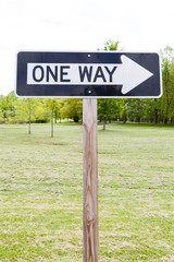 One way road sign, green grass and tree background.