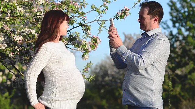husband pictures of phone pregnant wife in blossomed spring Park, happy couple expecting child