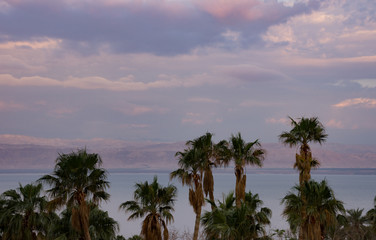 Palm trees in the foreground with the Dead Sea and Israel in the background and cloudy sky above. Photographed at sunset.