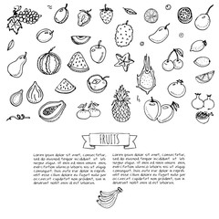 Hand drawn doodle fruits icons set Vector illustration seasonal fruits symbols collection Cartoon different kinds of fruits Various types of tropical fruits on white background Sketch style Fruit eps