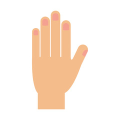 human hand icon over white background. vector illustration
