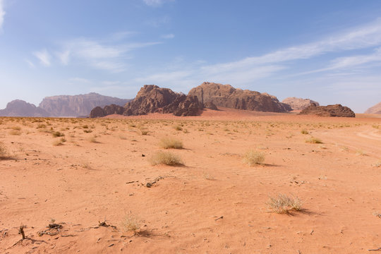 Great expansive of the Wadi Rum Desert with orange sand and rocky mountains in the distance. Blue sky with thin clouds is above. Foreground shows sparse vegetation.