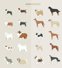 dog breed vector illustration flat design set © MINIWIDE