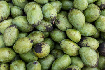 Fresh organic mangoes fruit on a traditional market of Bali island, Sukawati, Indonesia.