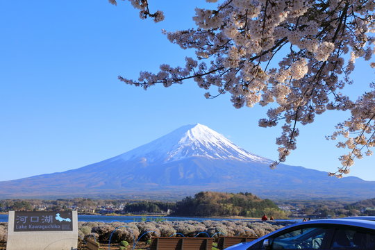 Fuji Mountain