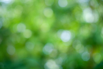 Plakat Nature abstract bokeh background