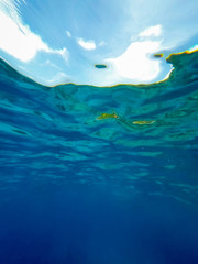 Abstract underwater background