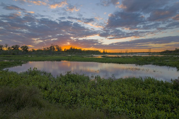 Naklejka premium Circle B Bar Reserve