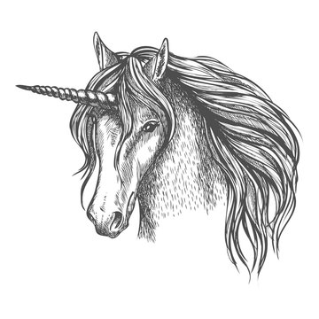 Unicorn mythic horse with horn vector sketch