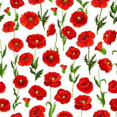 Fototapeta premium Seamless pattern of vector poppy flowers bunch