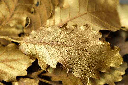 Close-up background of dried leaves made of gold.