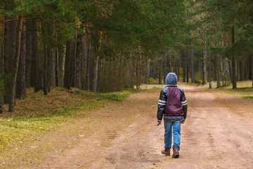 Kid boy alone walking in forest at day time
