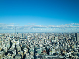 Obraz premium Tokyo sky tree, Japan, cityscape