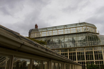 Fototapeta premium The Palm House