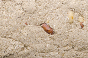 Background halva. Eastern sweetness.