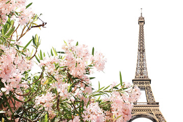 Fototapeta na wymiar Eiffel tower and pink flowers