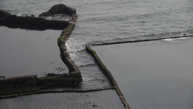 overlook abalone pond in seaside.	