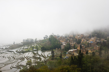 Obraz premium Fog over rice terraces in Yuanyang, China, UNESCO cultural heritage site