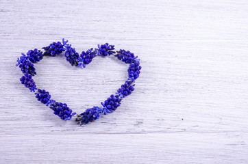 Fototapeta na wymiar Heart of flowers. Blue flowers on a table in the shape of a heart